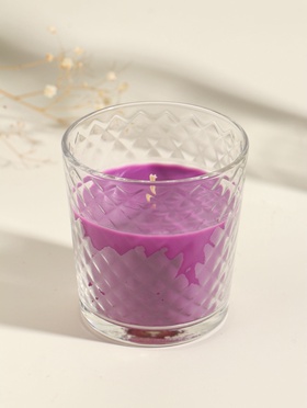 Ароматическая свеча в стакане «Чёрный чай и слива», 8×8.5 см, 30 ч  (артикул 11004017)  большой выбор товаров оптом и в розницу по низким ценам с доставкой