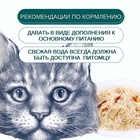 Wanpy Cat Пауч для кошек из курицы и трески, 85 г  (артикул 10916472)  большой выбор товаров оптом и в розницу по низким ценам с доставкой