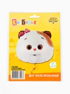 Воздушный шар фольгированный 21" «Кошечка Ли-Ли» - Фото 2