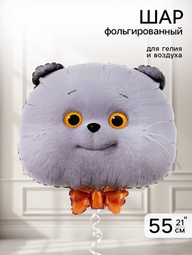 Воздушный шар фольгированный 21