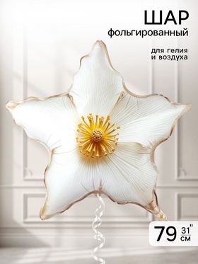 Воздушный шар фольгированный 31