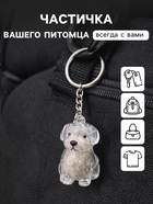 Брелок - обвес на сумку «Преданный друг - пёсик», капсула для шерсти питомца, 8×3×5 см - Фото 2