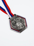 Медаль призовая «2 место», серебро 201, d=8 см, с лентой - Фото 2