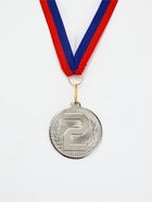Медаль призовая «2 место», серебро 203, d=5 см, с лентой - Фото 1