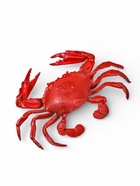 Набор декора для аквариума «Краб и трава» 10958494