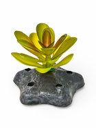 Набор декора для аквариума «Краб и трава» 10958494