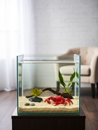 Набор декора для аквариума «Краб и трава» 10958494