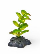 Набор декора для аквариума «Черепаха и трава» 10958495