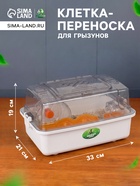 Клетка для грызунов с наполнением «Пижон», 33×21×19 см, прозрачная, белая - Фото 1