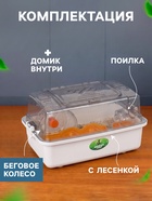 Клетка для грызунов с наполнением «Пижон», 33×21×19 см, прозрачная, белая - Фото 2