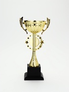 Кубок 192С, наградная фигура, золото, подставка пластик, 32.5×12×16.5 см  (артикул 10952122)  большой выбор товаров оптом и в розницу по низким ценам с доставкой