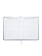 Дневник школьный «Рыцарь» 1-11 класс, ляссе, обложка искусственная кожа, синий  (артикул 10969053)  большой выбор товаров оптом и в розницу по низким ценам с доставкой