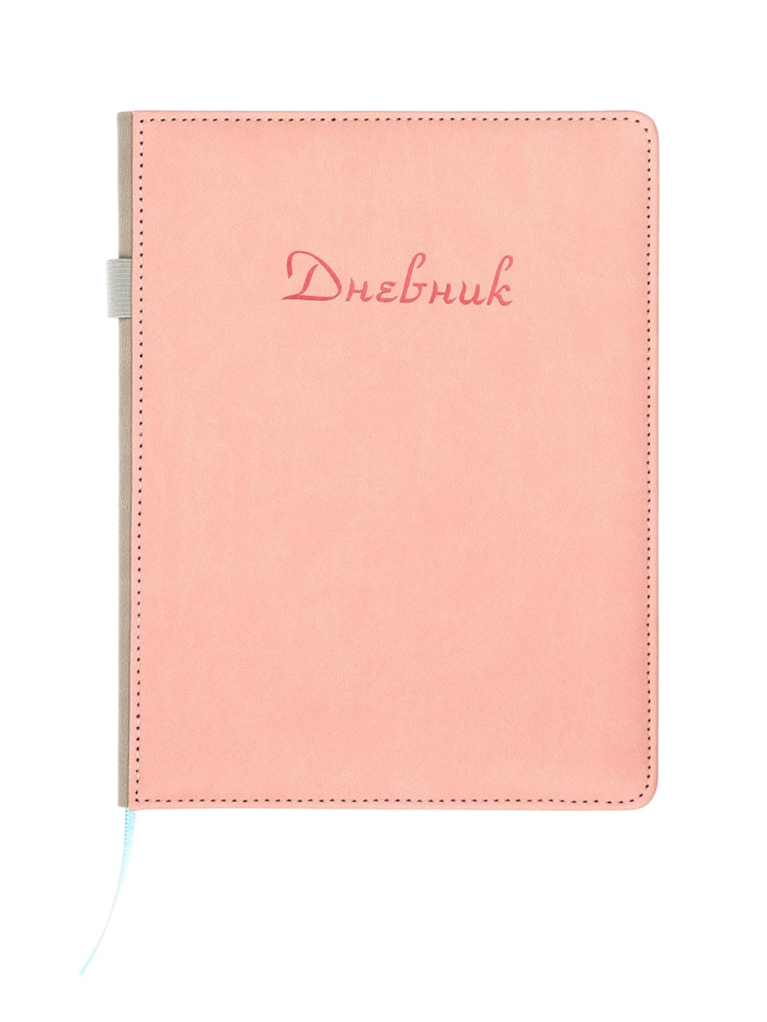 Дневник школьный 1-11 класс, ляссе, обложка искусственная кожа, с резинкой для ручки, бежевый - Фото 1