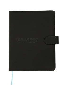Дневник школьный 1-11 класс, ляссе, обложка искусственная кожа, с хлястиком, чёрный