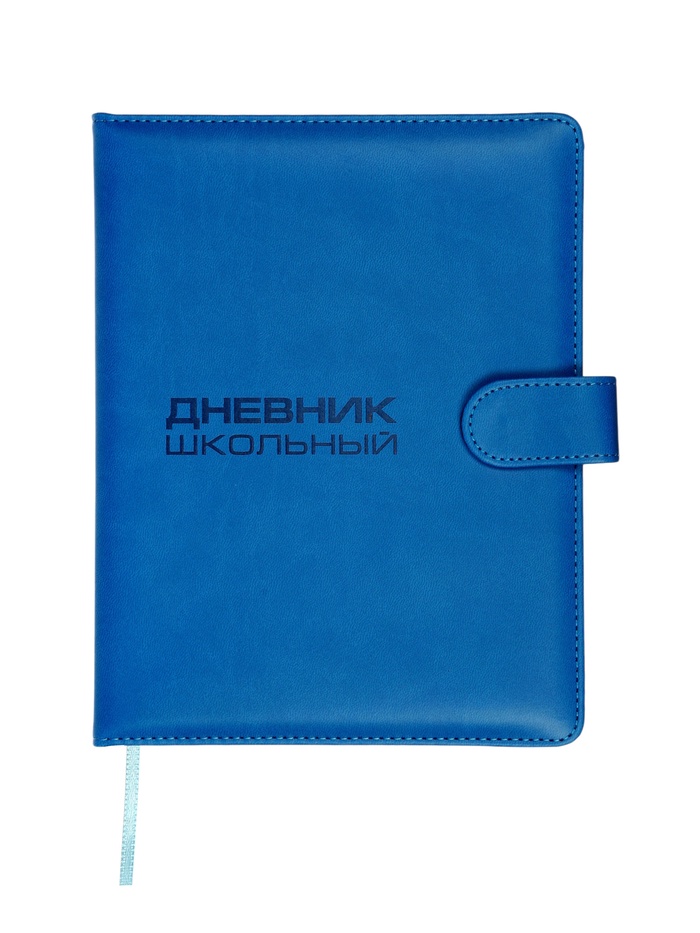 Дневник школьный 1-11 класс, ляссе, обложка искусственная кожа, с хлястиком, синий - Фото 1