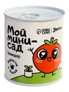 Набор для опытов ЭВРИКИ «Мой мини-сад», помидор - Фото 5