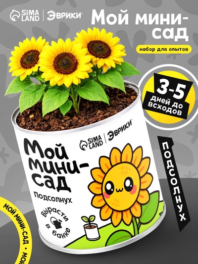 Набор для опытов ЭВРИКИ «Мой мини-сад», подсолнух