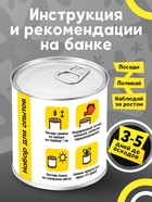 Набор для опытов ЭВРИКИ «Мой мини-сад», подсолнух - Фото 4