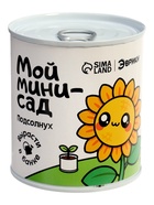 Набор для опытов ЭВРИКИ «Мой мини-сад», подсолнух - Фото 5