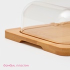 УЦЕНКА Маслёнка - сырница, 15×12.5×5.5 см - Фото 2