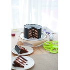 УЦЕНКА Делитель для торта пластиковый 10/12 частей 26.5 см цвет МИКС - Фото 7