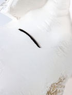 Копилка для денег «Слон индийский», белый с золотом, 35×40×15 см  (артикул 10994923)  большой выбор товаров оптом и в розницу по низким ценам с доставкой