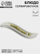 УЦЕНКА Блюдо для оливок «Серпан» 26×9×3 см - Фото 1