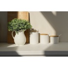 УЦЕНКА Набор банок для сыпучих на бамбуковой подставке BellaTenero, 6 предметов: 3 банки 150 мл, 250 мл, 350 мл, 3 ложки, белый - Фото 8