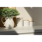 УЦЕНКА Набор банок для сыпучих на бамбуковой подставке BellaTenero, 6 предметов: 3 банки 150 мл, 250 мл, 350 мл, 3 ложки, белый - Фото 9