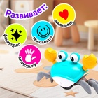 УЦЕНКА Каталка музыкальная "Краб", свет, звук, цвет бирюзовый 11014311