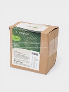 УЦЕНКА Сахарница на деревянной подставке "Bella Tenero. Тюльпан" 350 мл, с ложкой 11,5х9,5 см 9213 - Фото 3