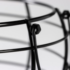 УЦЕНКА Ёмкость для хранения Доляна «Курочка», 22×20.5 см, керамика, белая - Фото 9