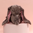 УЦЕНКА Мягкая игрушка "Li и Didi" - Фото 13