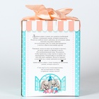 УЦЕНКА Мягкая игрушка "Зимняя Li" - Фото 6