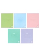 Компл тетр из 10шт 24л кл КПК "Пастель", обл мел карт, блок №2, 5 видов 10991557  (артикул 10992222)  большой выбор товаров оптом и в розницу по низким ценам с доставкой