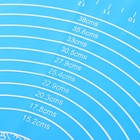 УЦЕНКА Коврик для выпечки и раскатки теста с разметкой Доляна «Эрме», силикон, 65.5×45 см, синий - Фото 4