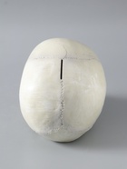 УЦЕНКА Копилка «Череп» кость белая, 16×13×22 см - Фото 4