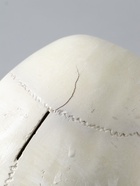 УЦЕНКА Копилка «Череп» кость белая, 16×13×22 см - Фото 6