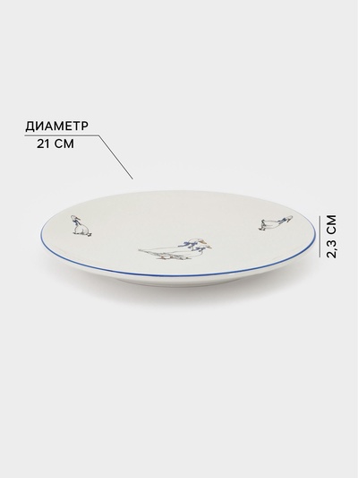 Тарелка Тихорецкий фарфор «Гуси», d=21 см, белая