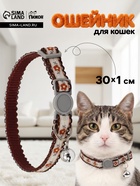 Ошейник для кошек «Пижон. По-полюшку», 30×1 см, с бубенчиком, полиэстер, коричневый - Фото 1