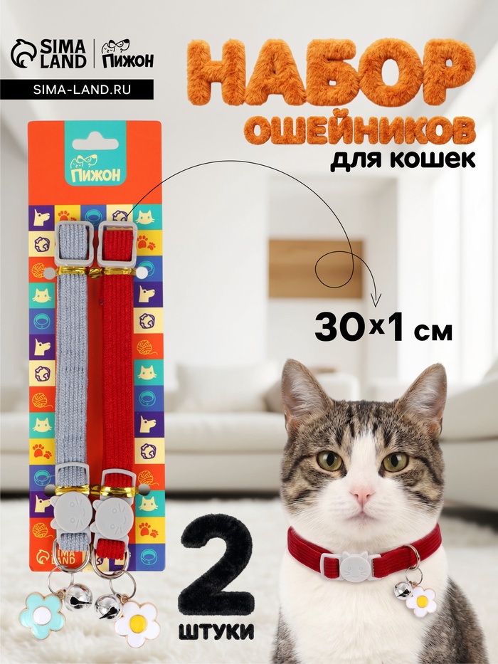 Набор ошейников для кошек «Пижон», 30×1 см, серый, красный