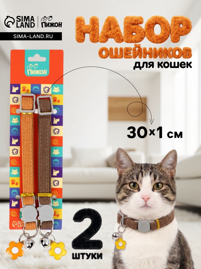 Набор ошейников для кошек «Пижон», 30×1 см, оранжевый, коричневый