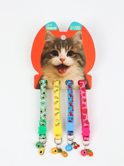 Набор ошейников для кошек «Фрукты», 19-32×1 см, 4 шт.