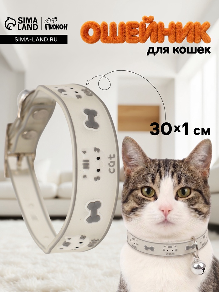 Ошейник для кошек «Пижон. Котя», 30×1 см, со светоотражающим покрытием, серый