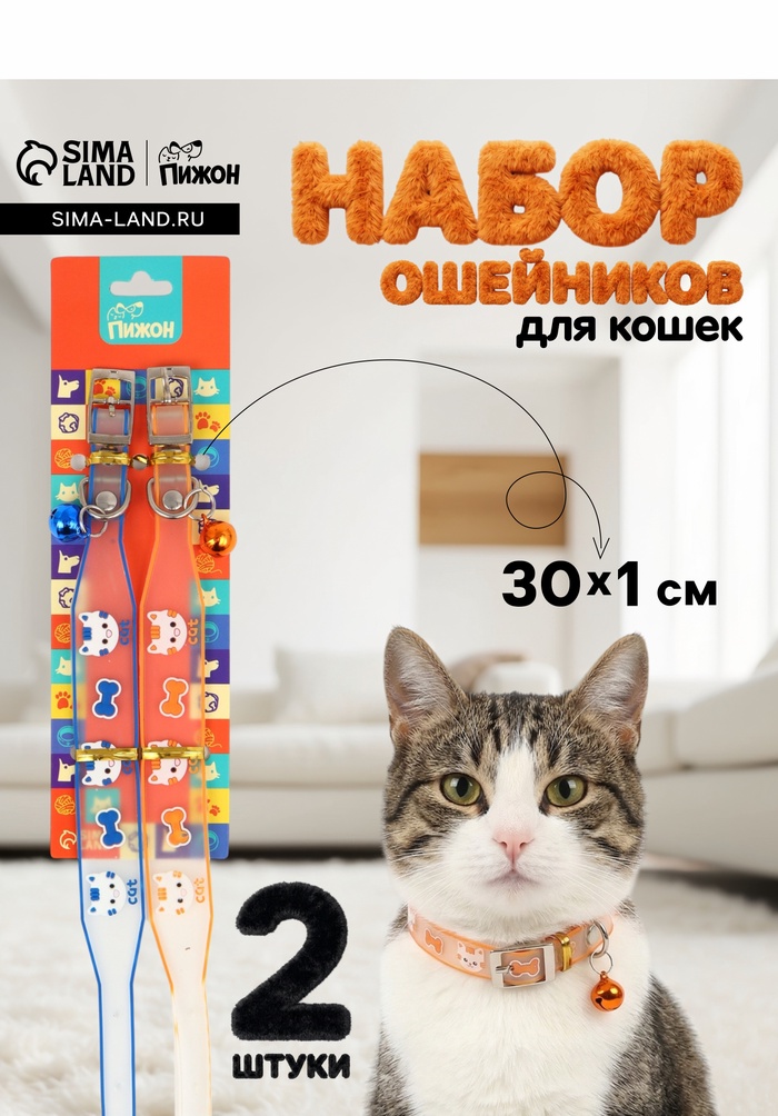Набор ошейников для кошек «Пижон. Котя», 30×1 см, оранжевый, синий