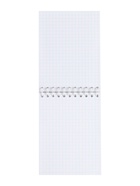 Блокнот на гребне А6 в клетку, 80 листов «Дикая кошка», 60 г/м² - Фото 3