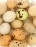 Цветные драже перепелиные яйца, с воздушным рисом внутри, 100 г - Фото 4