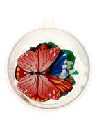 Вафельный декор «Бабочки», большие, 15 шт.  (артикул 11007742)  большой выбор товаров оптом и в розницу по низким ценам с доставкой