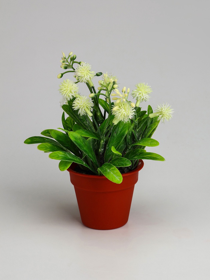 Искусственный цветок в горшке «Скабиоза экстра», 9×18 см, МИКС