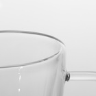 УЦЕНКА Кружка с двойными стенками «Дуо», 300 мл, 13×9×11 см, стекло, прозрачная - Фото 5